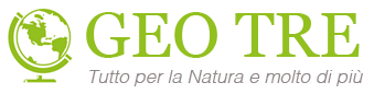 Geo3 Logo